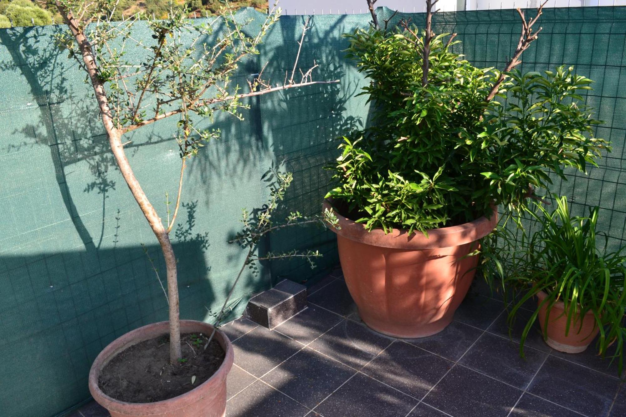 דירות Vlorë Seaview Penthouse Terrace & Garage מראה חיצוני תמונה
